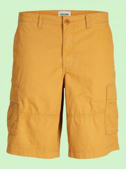 Bermudas Cole