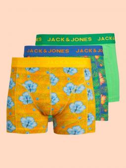 Pack-3 boxers Hawai
