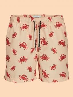 Bañador Cole